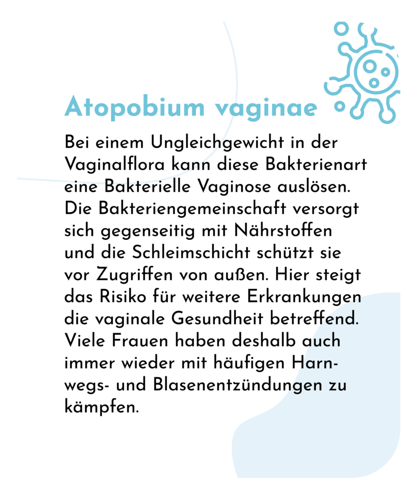 Geschlechtskrankheiten: Atopobium vaginae