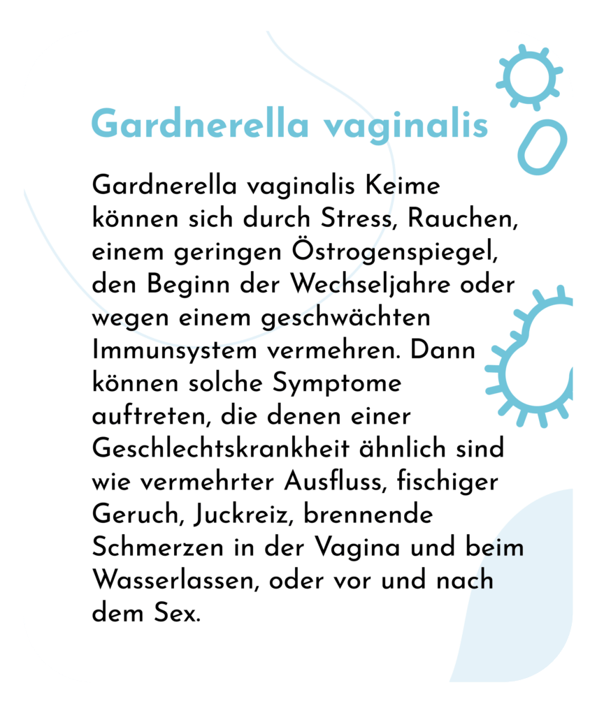 Gardnerella vaginalis