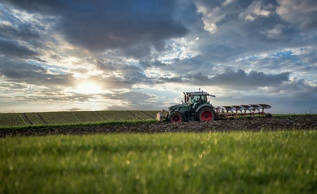 Nahrungsergänzungsmittel durch Intensivierung der Landwirtschaft